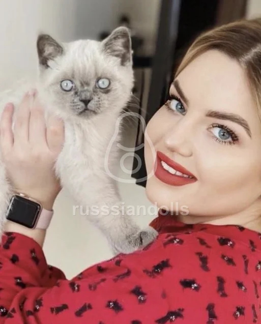 Стелла - фото 7